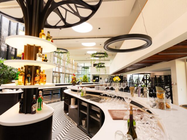 @PAPILIOPROD-07158-scaled